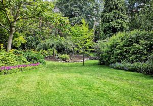 Optimiser l'expérience du jardin à Roziers-Saint-Georges
